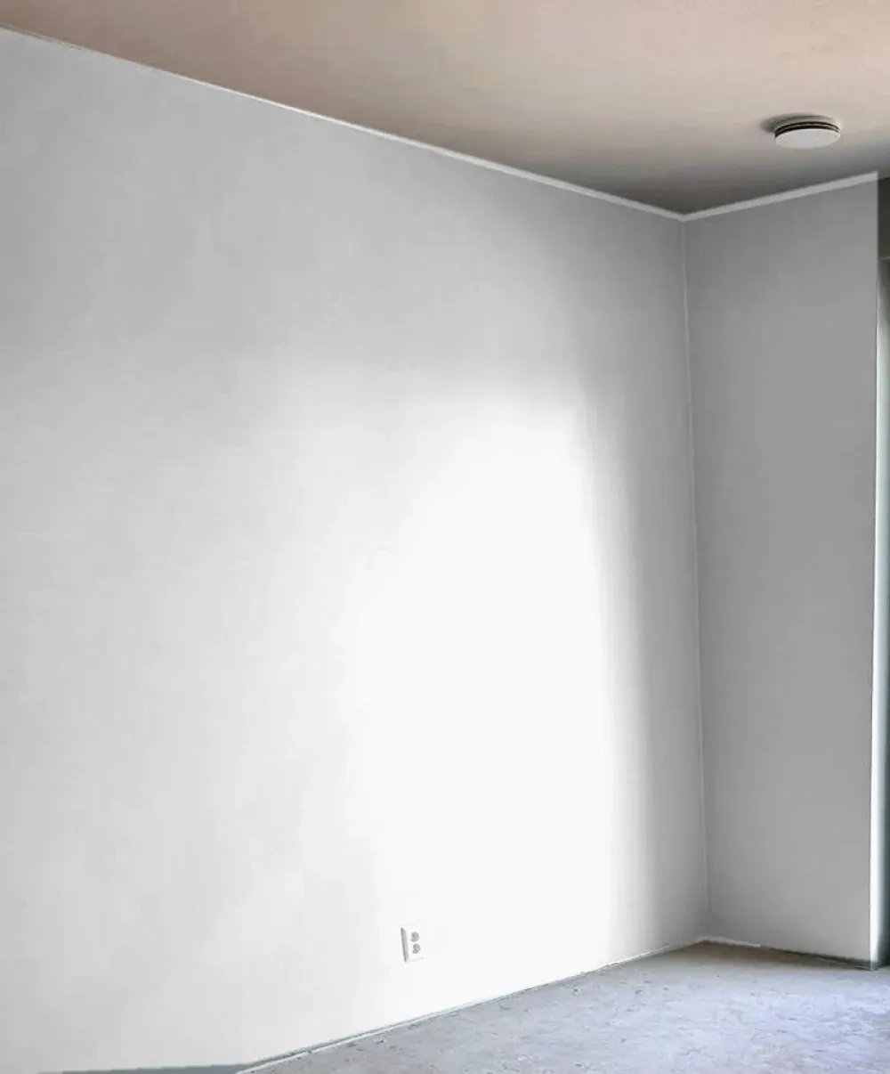 Kamer met wanden in de gekozen kleur
